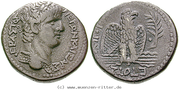 Klicken Sie auf das Bild um es auf Ihrem Rechner zu speichern seleukis-und-pieria-nero-tetradrachme/erom10663.jpg