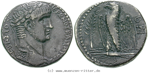 Klicken Sie auf das Bild um es auf Ihrem Rechner zu speichern seleukis-und-pieria-nero-tetradrachme/erom8286.jpg