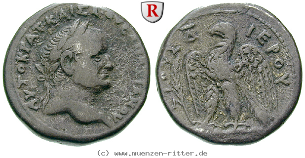 Klicken Sie auf das Bild um es auf Ihrem Rechner zu speichern seleukis-und-pieria-vespasianus-tetradrachme/64169.jpg