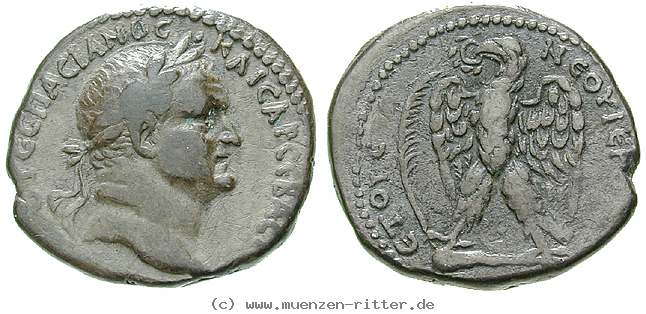 Klicken Sie auf das Bild um es auf Ihrem Rechner zu speichern seleukis-und-pieria-vespasianus-tetradrachme/erom8289.jpg