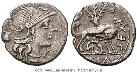 Klicken Sie auf das Bild um es auf Ihrem Rechner zu speichern sext-pompeius-fostlus-denar/11272.jpg