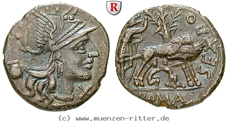 Klicken Sie auf das Bild um es auf Ihrem Rechner zu speichern sext-pompeius-fostlus-denar/49951.jpg