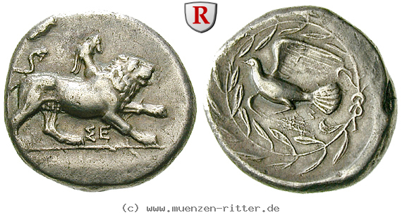Klicken Sie auf das Bild um es auf Ihrem Rechner zu speichern sikyonia-stater/47435.jpg