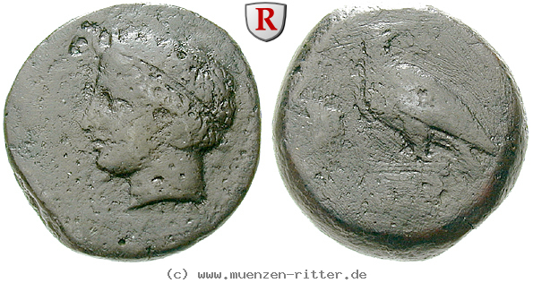 Klicken Sie auf das Bild um es auf Ihrem Rechner zu speichern sizilien-hemilitron/34008.jpg