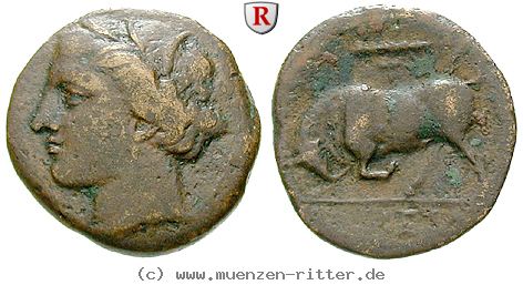 Klicken Sie auf das Bild um es auf Ihrem Rechner zu speichern sizilien-hieron-ii-bronze/50598.jpg