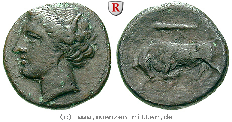 Klicken Sie auf das Bild um es auf Ihrem Rechner zu speichern sizilien-hieron-ii-bronze/64050.jpg