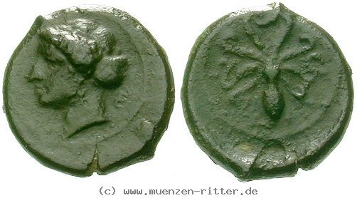 sizilien-zweite-demokratie-tetras/egri6923.jpg