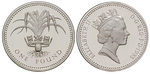 11459 Elizabeth II., Pound