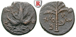12244 Bronze