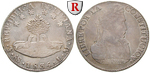 13365 Republik, 8 Soles
