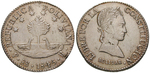 13368 Republik, 8 Soles