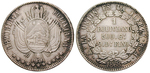 13388 Republik, Boliviano