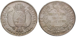 13396 Republik, Boliviano