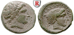13453 Bronze