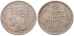 13465 Republik, Peso