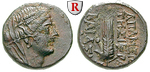 13638 Bronze