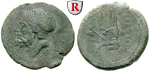 13659 Bronze