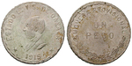 13896 Revolutionsprägungen, Peso