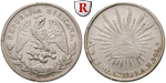 13964 Republik, Peso