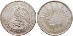 13965 Republik, Peso