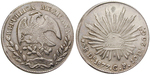 13991 Republik, 8 Reales