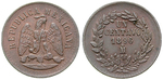 14256 Republik, Centavo