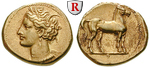 18537 Stater