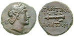 19495 Bronze