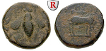 20335 Bronze