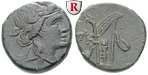 20514 Bronze