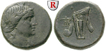 20515 Bronze