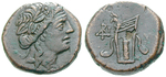 20516 Bronze