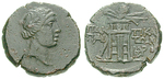 20546 Bronze