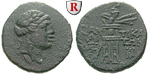 20548 Bronze
