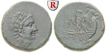 20550 Bronze
