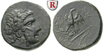20552 Bronze
