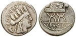 21413 P. Furius Crassipes, Denar