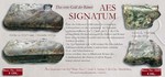 21414_21689_angebot Aes Signatum, Aes Signatum