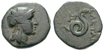 22596 Bronze