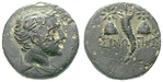 22749 Bronze