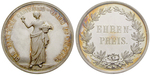 24073 Silbermedaille