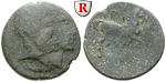 24522 Bronze