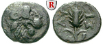 24778 Bronze
