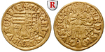 25243 Matthias I. Corvinus, Goldg...