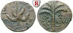 25356 Bronze