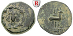 25592 Bronze