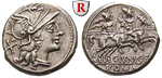 27029 C. Junius, Denar