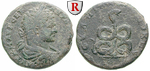 27985 Caracalla, Bronze