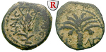 28486 Coponius, Prutah