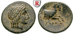 29431 Bronze